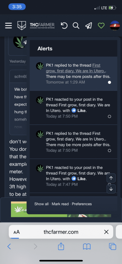 First grow, first diary. We are In Utero.