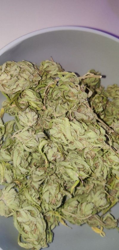 Kush's,clones,cookies,green queens....these are some of my favorite things!