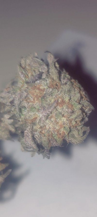 Kush's,clones,cookies,green queens....these are some of my favorite things!