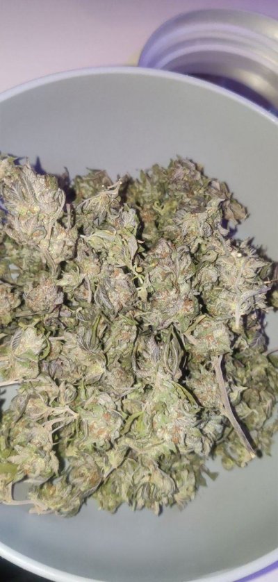 Kush's,clones,cookies,green queens....these are some of my favorite things!