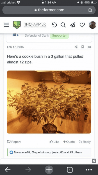 1640138097319.png