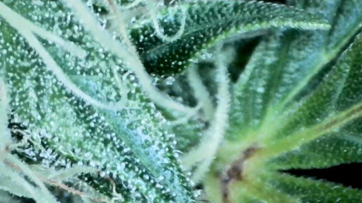 50E4D36D-D3F4-48FF-8B87-8D265F2DF4D6.jpeg