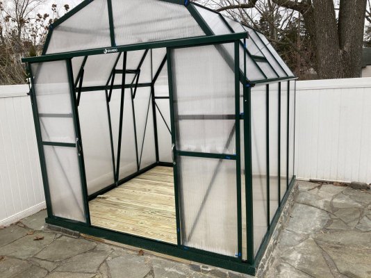 My Grow Diary. First timer. Here goes.
