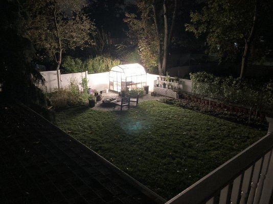 My Grow Diary. First timer. Here goes.