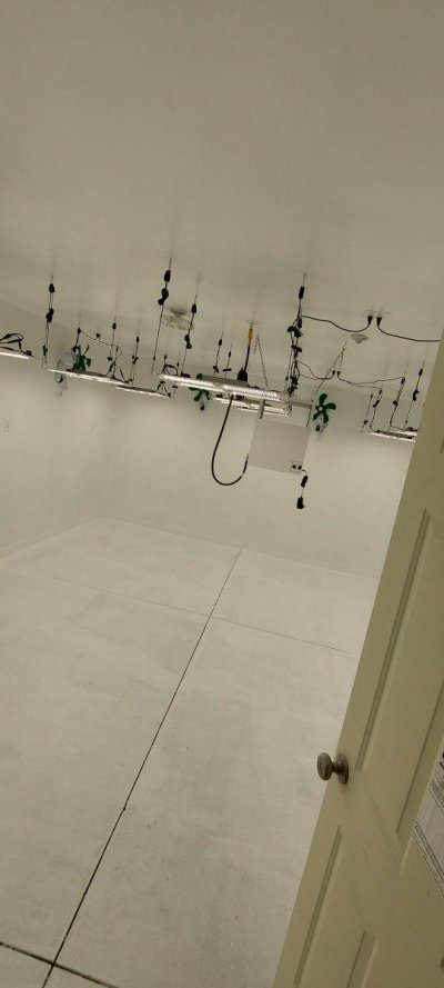 Co2 burner position, and height?