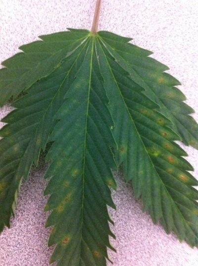 deficiency-problem.jpg