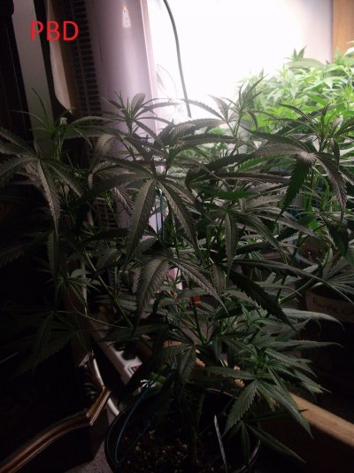 DSCF2812.JPG