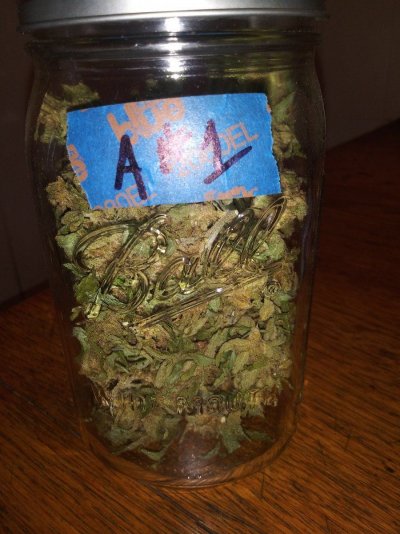 2022 Grow aloha widow, durban poison Ak-47
