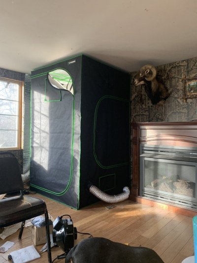 Wanting My Cheapest Deal On Tent