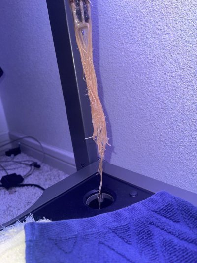 First time growing - using AeroGarden XL and could use some help