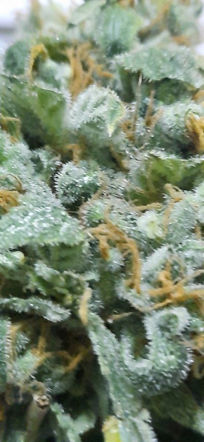 20220302_112525.jpg
