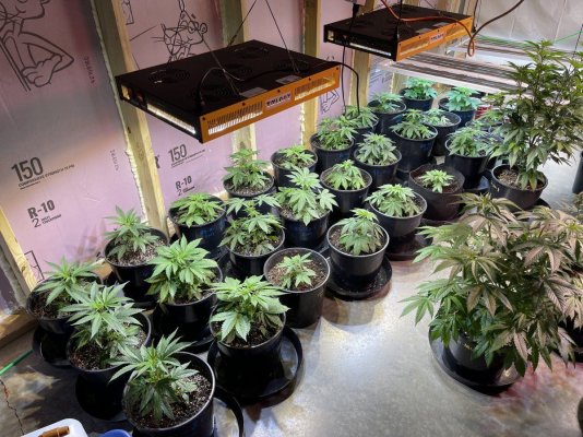 welcome-to-my-garden---update-3.jpg