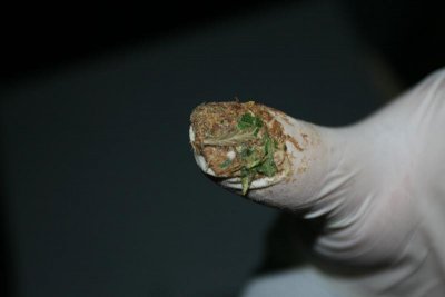 IMG_5538.JPG