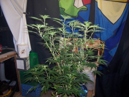 100_7040.JPG