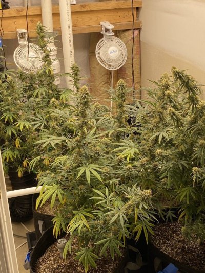 theyre-coming-into-the-homestretch.jpeg