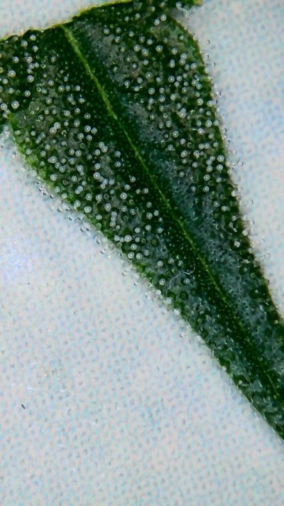 2022_04_10_06_41_46_025.jpg