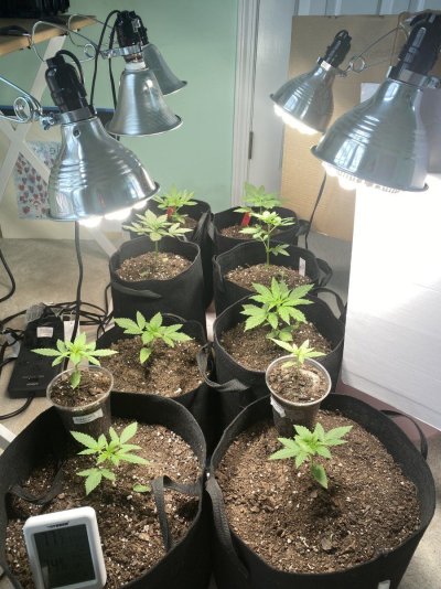 combining-indoor-and-outdoor-lighting-2.jpeg