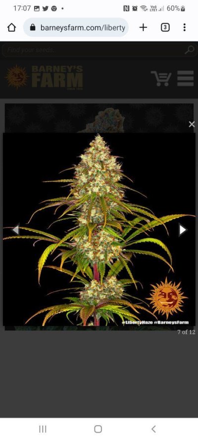 Screenshot_20220414-170743_Chrome.jpg