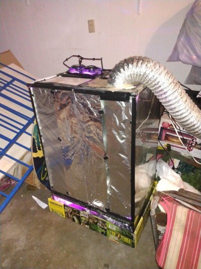Looking for Grow tent recommendations