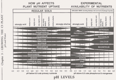 ph13[1].gif