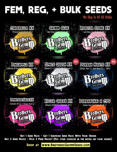 Brothers Grimm Seeds - FEM seeds and Bulk Seeds