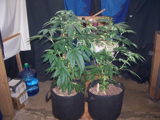 100_7313.JPG