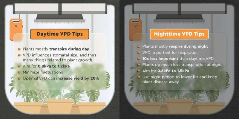 Does VPD matter at night?