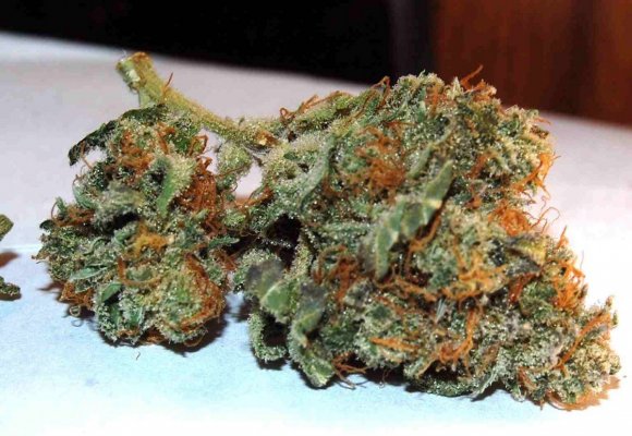 double koosh and afghan kush macros