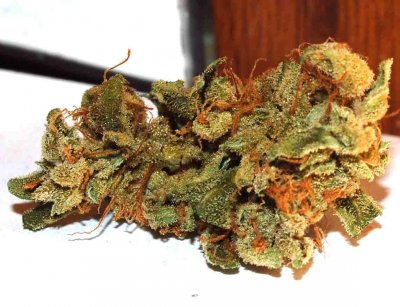 double koosh and afghan kush macros