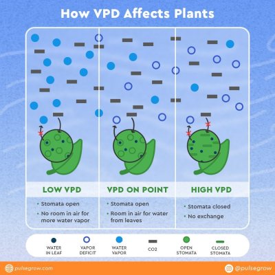 I see a lot of misinformation and confusion about VPD, so I made an infographic to explain things