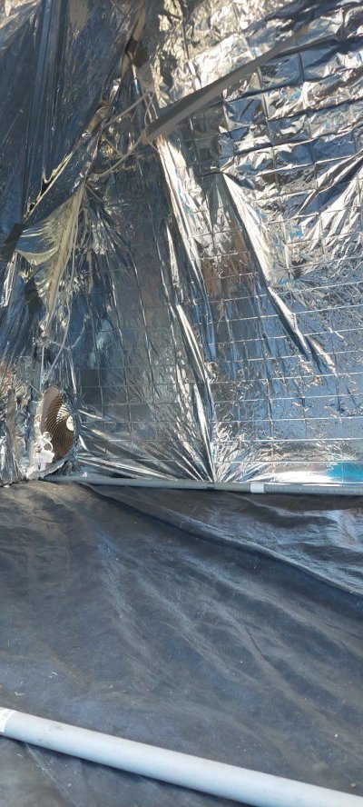 my-poor-mans-grow-tent-2.jpg