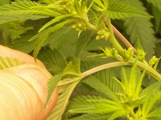 100_7581.JPG