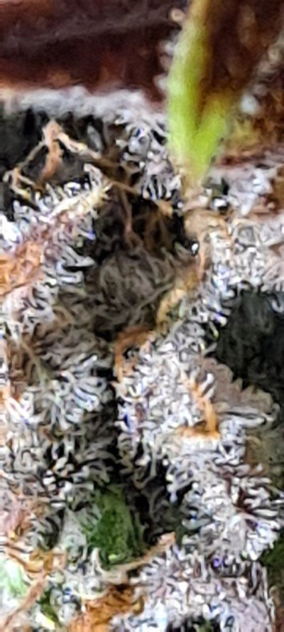 20220529_034856.jpg
