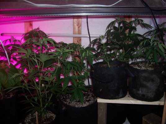100_7663.JPG
