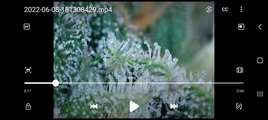 Screenshot_20220608-182125_Video Player.jpg