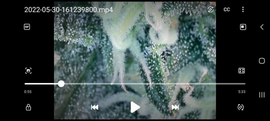 Screenshot_20220608-182835_Video Player.jpg