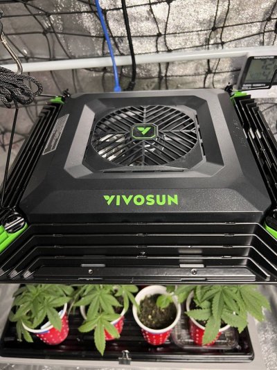 New Vivosun Smart Grow System