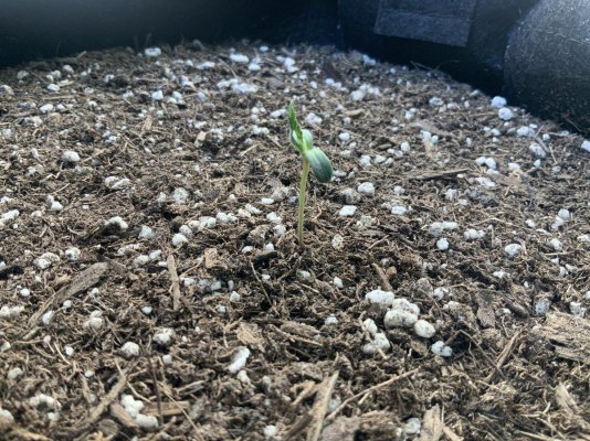Wtf is happening update (pics inside)