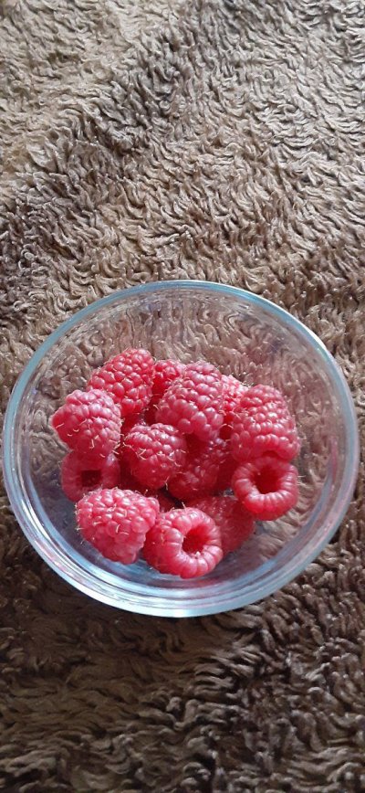 20210718_104236.jpg