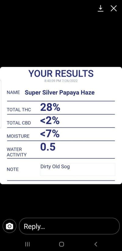 Super Silver Papaya Haze