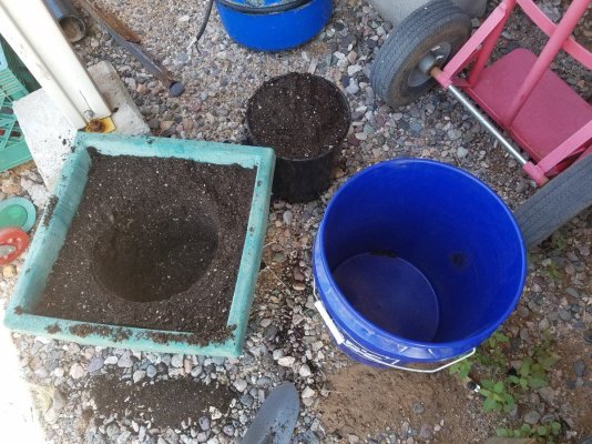 Arizona - Shed + Tent & Outdoor Growing Journal