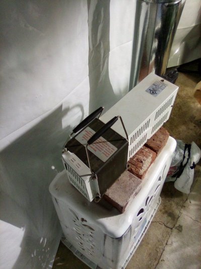 eh-my-name-is-alby-35-year-grower-low-tech-guru-grand-poohbah-of-all-that-is-cheap-and-thrifty...jpg