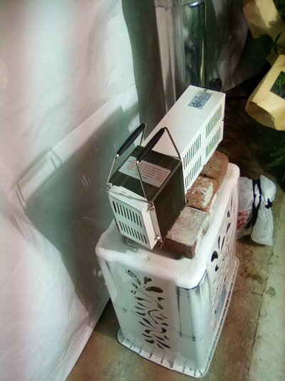eh-my-name-is-alby-35-year-grower-low-tech-guru-grand-poohbah-of-all-that-is-cheap-and-thrifty...jpg