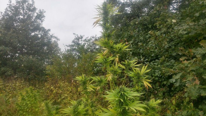 20180930_114455_HDR.jpg