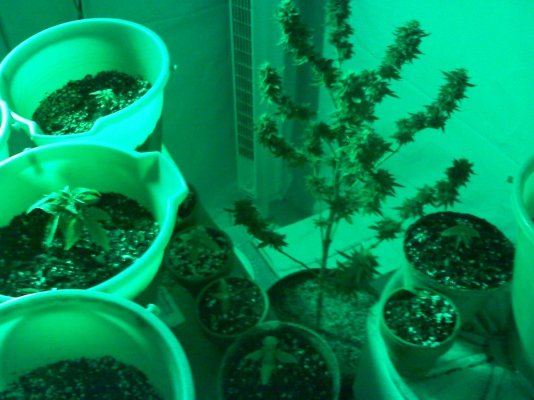20110426021221.jpg