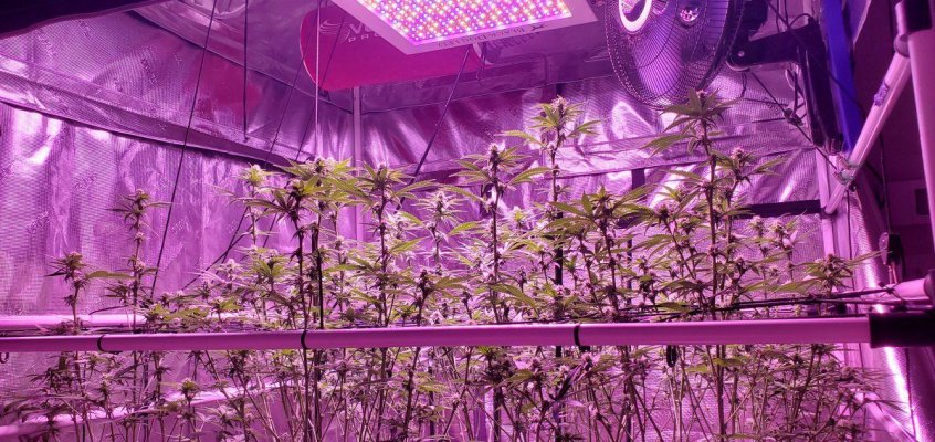 New to leds