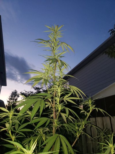 20220817_203906.jpg