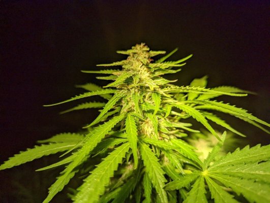 PXL_20220824_005023031.jpg