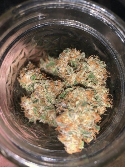 Let's See Your Frostiest Flowers