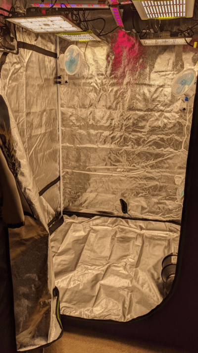 cheap-led-4x4-dwc-grow-new-setup-2.png
